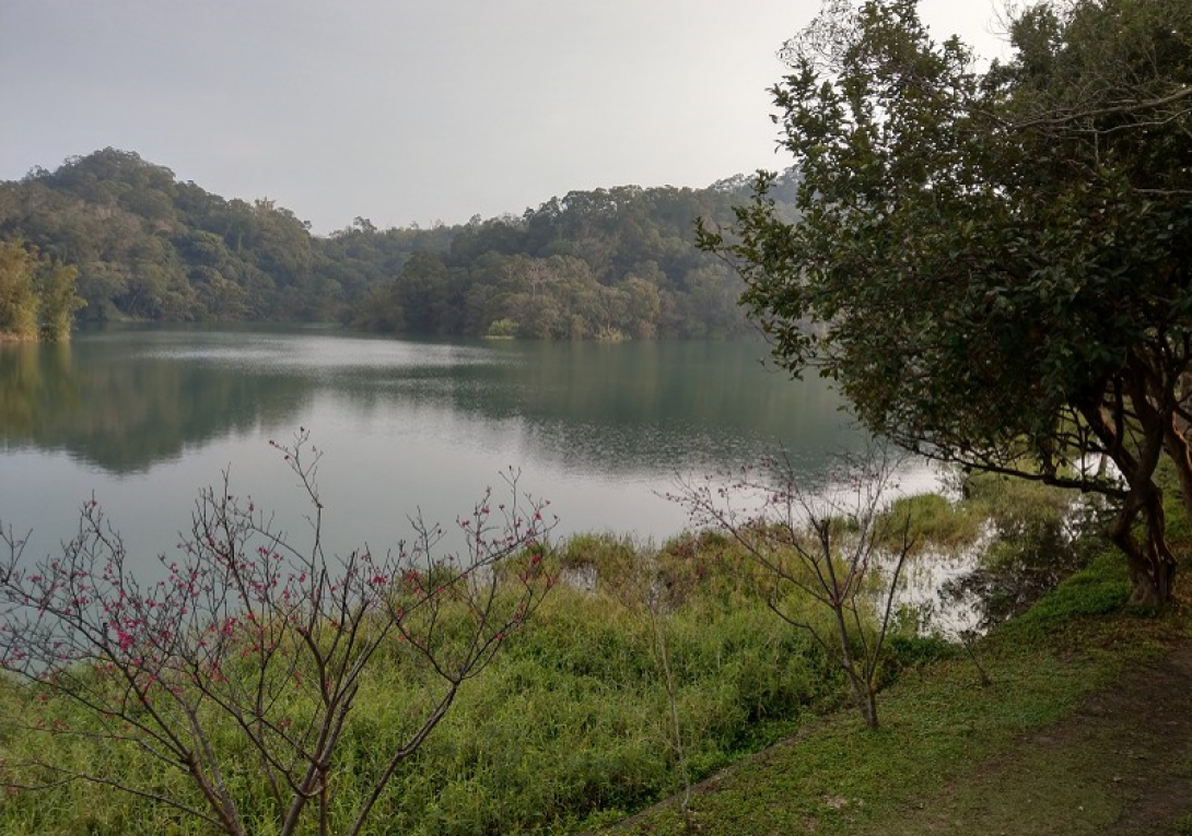 寶山淨水場水源寶山水庫環湖步道一景
