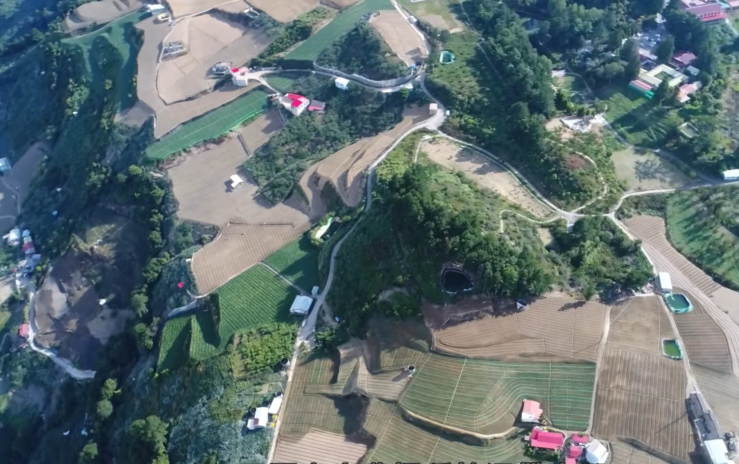 許多榮民在完成中橫公路之後,另闢高山種植溫帶水果
