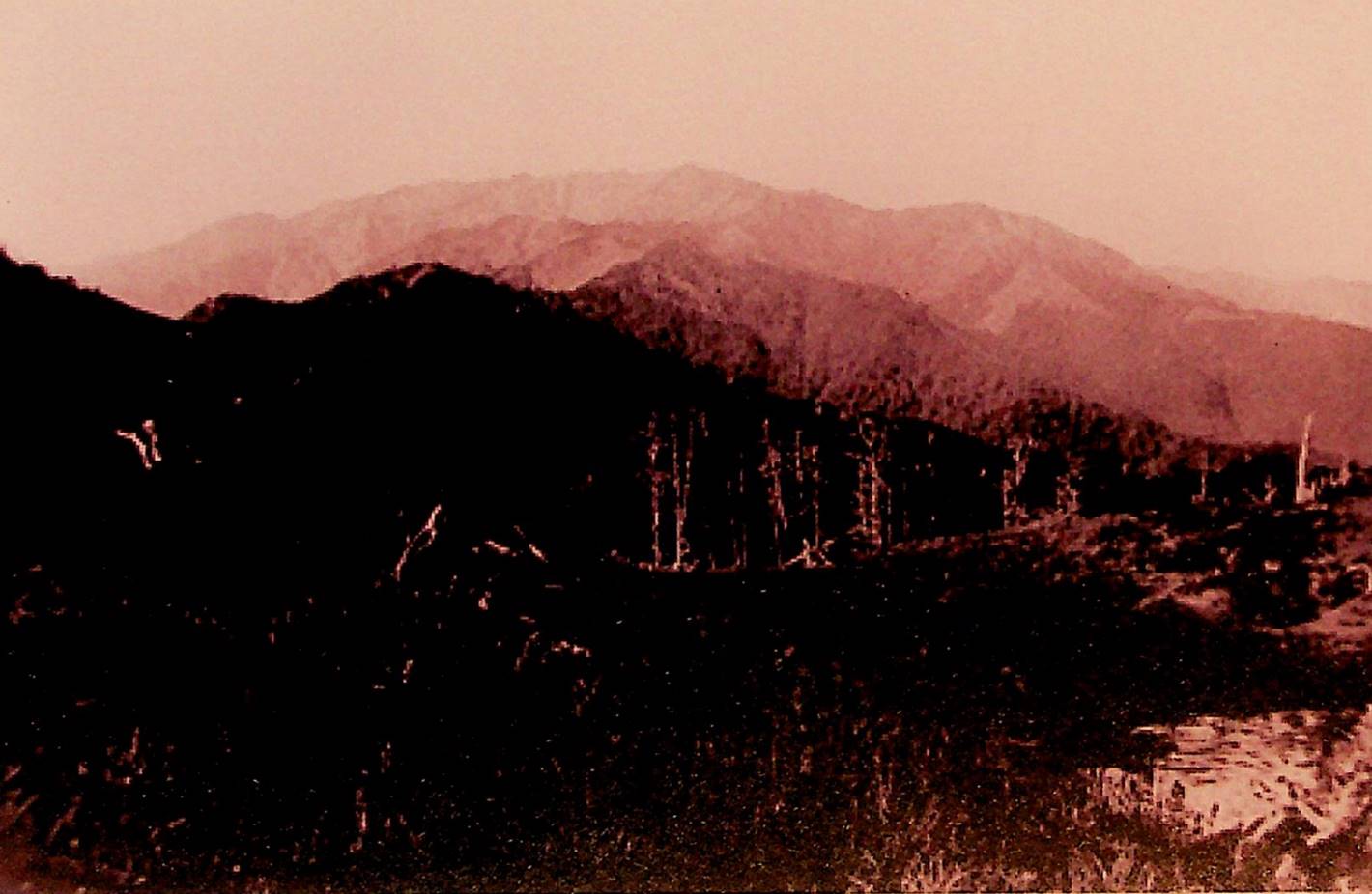 太平山林鐵加羅山