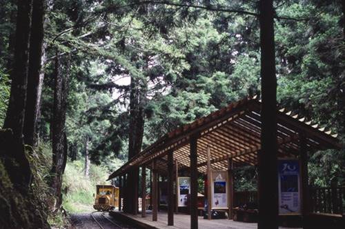 太平山林鐵太平山茂興懷舊步道