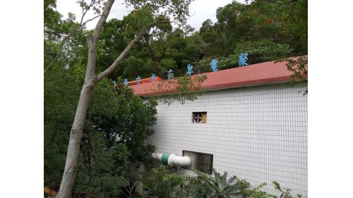 &nbsp;於1990年完工啟用，發電原理是利用農田灌溉水圳的高度落差進行發電，發電後的尾水再度匯流回卑南上圳幹線，它也是全台第一座利用這種發電方式的小型民營水力發電廠。