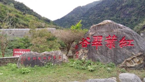 &nbsp;自2002年起，台東農田水利會著手規劃於卑南上圳進水口進行綠美化工程。