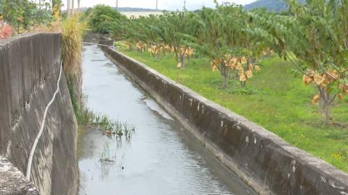 &nbsp;卑南上圳計畫受益面積2,476公頃，目前灌溉面積為1,820公頃，包括管路灌溉735公頃，明渠灌溉1,085公頃，灌區內作物以釋迦為大宗，另有高接梨、枇杷、鳳梨、荖花、荖葉及雜作。
