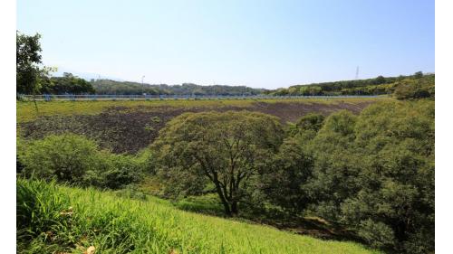 屬滾壓式土石壩，壩高62.5公尺，壩長340公尺，壩頂寬度12公尺，壩頂標高89.5公尺、壩長300公尺、寬12公尺。