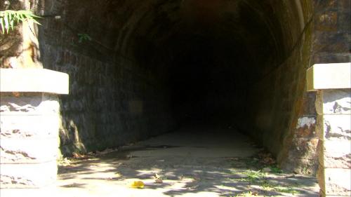 台灣株式會社興建日月潭門牌潭發電廠，為運送興建電廠所需建材，乃擴寛從二水通往車埕之縱貫鐵路集集支線，更將鐵路從車埕向內延伸至門牌潭，1922年1月14日開始營運。