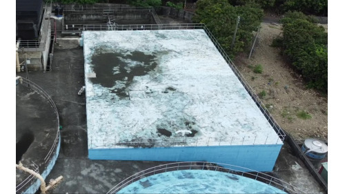 清水池。