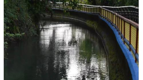 &nbsp;八寶圳途中來到新石新村一分為二，走勢較高的河道成為電火圳，也是社寮角發電廠的發電用水。