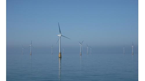 裝置容量為659MW，涵蓋面積73平方公里，約等於1萬個足球場大。