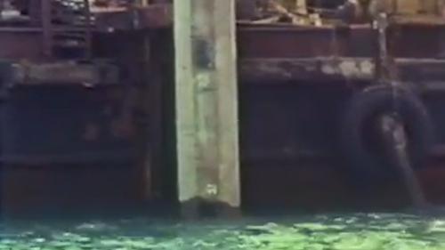 蘇澳港的第一座碼頭的第一根基樁：1975年11月4日蘇澳港的第一座碼頭打下了第一根基樁。