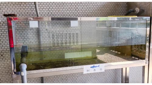 自來水公司在監視原水毒物污染情形，均有設置原水養魚箱，監控原水是否遭受汙染，並建立異常事件處理程序。魚種買回後，需先以淨水馴養箱養一週，才能將魚兒移入原水水質監測養魚試驗箱。