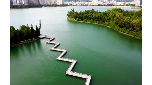 九曲橋！