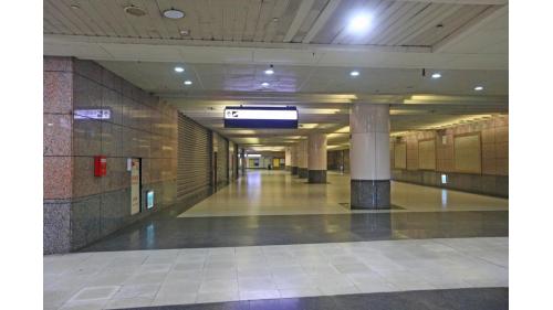 &nbsp;地下一樓為大廳層與捷運板南線穿堂層及環狀線連通層銜接。