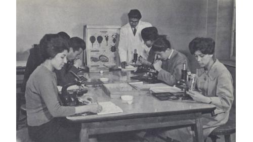 1933年查希爾繼位後大力推動改革，允許婦女接受教育，制定憲法，並大量吸收西方文化。1950年代阿富汗已經出現一片欣欣向榮的景象，60年代的阿富汗，被稱為「亞洲的瑞士」，首都喀布爾可說是中亞地區璀璨的明珠。【圖：1950年代喀布爾大學的生物學課程】
&nbsp;