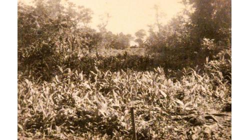 1974年開鑿第四號集水井。深溝淨水場有豐富湧泉為水源。利用集水井集水，導水至聯絡井後，下導至員山抽水站，再加壓蓄入員山配水池內，藉由重力自然流下至供水區。在歷經多次擴建，供水區逐漸擴大。之後配送水方式改為直接加壓，員山抽水站於民國79年廢除，走入歷史。