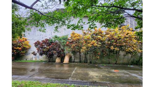 水躍池進水管。