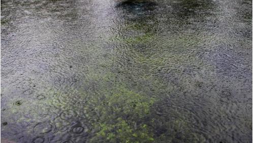蘭陽溪在牛鬥離開河谷，進入寬廣的平原，所攜帶的碎石泥沙也慢慢的堆積下來，形成沖積扇。在扇頂處(牛鬥)因為坡度陡，所以水流也較急，較大的岩石會留在此區，大空隙容易讓河水滲透到地底之中，形成地下伏流水，在地面上反而看不到河流。地下伏流水到達沖積扇扇端(本園區深溝、尚德一帶)後從地下湧出，湧泉的力道很大，將池底的沙子翻騰起來，並帶著主要含氮的氣體，有如珍珠從地下湧出。
&nbsp;
