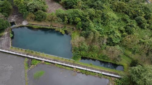 水鳥池。