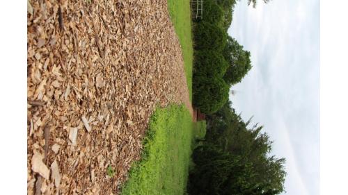 美崙淨水場(今已停用)，日治時期的設施仍貯立於第九區自來水園區內，其水道設施的工藝仍令人嘆為觀止，至今已有百年歷史，園區平日可供民眾申請參觀，設有獨特的木屑步道，將廢棄之木頭回收再利用，亦設有文史館，珍藏許多自來水相關文物，可使民眾深入了解花蓮自來水的發展過程，已達承先啟後之意義。
&nbsp;