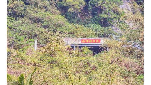 加津林隧道位在大武車站至富山號誌站之間，長3,652公尺。
&nbsp;