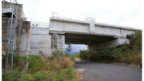 台鐵利嘉溪橋總長418公尺，於知本站與康樂站間跨越利嘉溪（共20跨、跨距19.8公尺）。利嘉溪為臺東縣管之沖刷型河川，長期侵蝕之下致使原橋梁基礎裸露，嚴重處甚至逾10公尺，爰於2016年11月決議局部改線，另建雙軌橋梁。新建利嘉溪橋長455公尺，以40.5公尺跨距（共10跨）跨越利嘉溪。