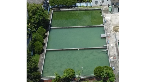 慢濾池。
&nbsp;