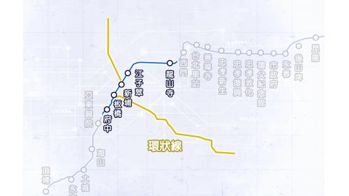 板橋線位於大台北地區南段精華地段，採地下方式興建，1999年12月龍山寺站開通，隔年8月通車至新埔站，2006年5月通車至府中站，至此板橋線全線開通，全長7.1公里，旅客可經由板橋線轉乘至環狀線。路線自台北市萬華區，一路跨越新店溪，通過新板橋車站至舊臺鐵板橋車站，為新北市連接台北市之重要交通路線。