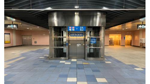 亞東醫院站編號為BL05，位於板橋區南雅南路二段，於2006年5月啟用。為地下2層車站，共有3處出入口，地下一層為大廳層，地下二層為月台層，設有一座島式月台，月台門採半高式設計，站內設有公共藝術作品「河戀」。此外，為避免洪水淹入捷運隧道內，於亞東醫院站隧道開口處，設有全臺第一座昇降式全斷面防洪閘門。
&nbsp;
