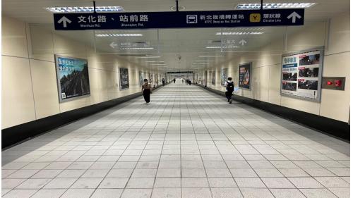 板橋站位於站前路與新府路交叉口，為地下三層車站，設有3處出入口及1處連通臺鐵高鐵車站穿堂層的出入口。地下一樓為穿堂層，板南線的旅客可藉由此層連通道，經火車站通往捷運環狀線車站。地下二樓為大廳層。地下三樓為月台層，板橋站設有島式月台一座，並設有半高式月台門，為三鐵共構之車站，除可搭乘捷運、台鐵及高鐵外，亦可於此站轉乘公車及長途客運，此外有一座公共藝術作品「進化的軌跡」。
&nbsp;