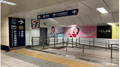 板橋站位於站前路與新府路交叉口，為地下三層車站，設有3處出入口及1處連通臺鐵高鐵車站穿堂層的出入口。地下一樓為穿堂層，板南線的旅客可藉由此層連通道，經火車站通往捷運環狀線車站。地下二樓為大廳層。地下三樓為月台層，板橋站設有島式月台一座，並設有半高式月台門，為三鐵共構之車站，除可搭乘捷運、台鐵及高鐵外，亦可於此站轉乘公車及長途客運，此外有一座公共藝術作品「進化的軌跡」。
&nbsp;