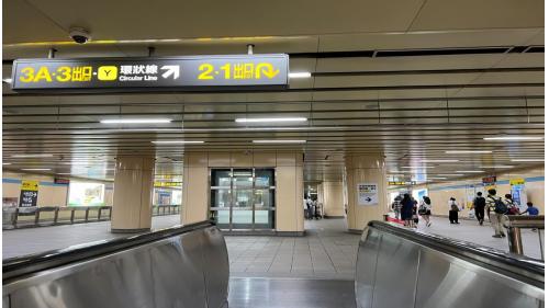 板橋站位於站前路與新府路交叉口，為地下三層車站，設有3處出入口及1處連通臺鐵高鐵車站穿堂層的出入口。地下一樓為穿堂層，板南線的旅客可藉由此層連通道，經火車站通往捷運環狀線車站。地下二樓為大廳層。地下三樓為月台層，板橋站設有島式月台一座，並設有半高式月台門，為三鐵共構之車站，除可搭乘捷運、台鐵及高鐵外，亦可於此站轉乘公車及長途客運，此外有一座公共藝術作品「進化的軌跡」。
&nbsp;