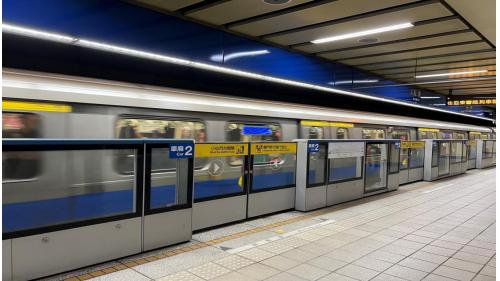 板橋站位於站前路與新府路交叉口，為地下三層車站，設有3處出入口及1處連通臺鐵高鐵車站穿堂層的出入口。地下一樓為穿堂層，板南線的旅客可藉由此層連通道，經火車站通往捷運環狀線車站。地下二樓為大廳層。地下三樓為月台層，板橋站設有島式月台一座，並設有半高式月台門，為三鐵共構之車站，除可搭乘捷運、台鐵及高鐵外，亦可於此站轉乘公車及長途客運，此外有一座公共藝術作品「進化的軌跡」。