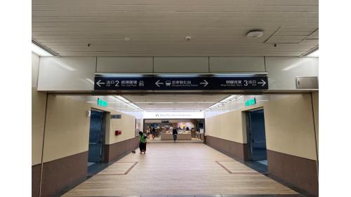 忠孝敦化站為地下二層車站，共有8處出入口，為台北捷運非轉乘站中，出口最多之車站，地下一樓為大廳層，地下二樓為月台層，設有一座島式月台，月台門採半高式設計。與忠孝復興站同為可連接東區地下街之捷運站，各出入口外亦設有周邊商圈及廣場等。
&nbsp;