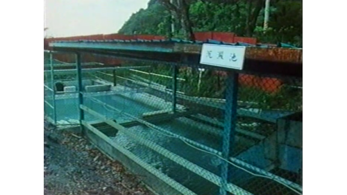 &nbsp;         隧道內排水先流經沉澱池，經化學藥品混合後加速沉澱，使排放水的水質符合環保需求