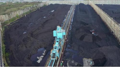 &nbsp;1982年完成卸煤碼頭與外海棧橋，由於興達發電廠初期土地面積有限，露天煤場面積較小，機組使用的煤炭進口後，主要儲存於大林發電廠，部份則透過轉運碼頭，運送至興達發電廠。