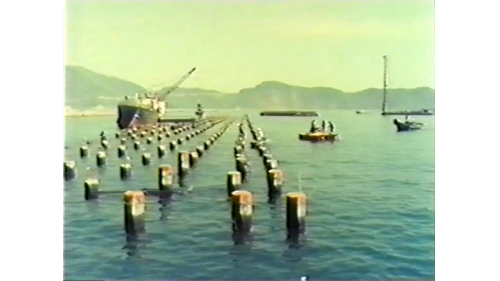 &nbsp;         棧橋式碼頭基樁打設完成，還要拋放卵石，卵石層必須全部鋪成傾斜狀，然後在上面吊放一噸和兩噸重的小菱形塊，切除樁頭後露出鋼筋，加上樁箍套上樁帽，灌注混凝土。