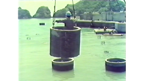 &nbsp;         棧橋式碼頭基樁打設完成，還要拋放卵石，卵石層必須全部鋪成傾斜狀，然後在上面吊放一噸和兩噸重的小菱形塊，切除樁頭後露出鋼筋，加上樁箍套上樁帽，灌注混凝土。