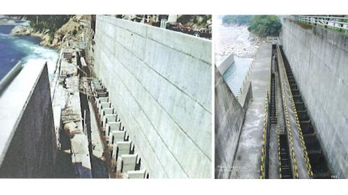 為了減少對環境的衝擊，台電在建設馬鞍電廠時，與東勢生態環境維護協會及國內相關學術研究機構合作，共同擬定「大甲溪生態保育復育整體計畫」，在馬鞍壩設置多階層低落差的連續池魚梯。
&nbsp;
&nbsp;