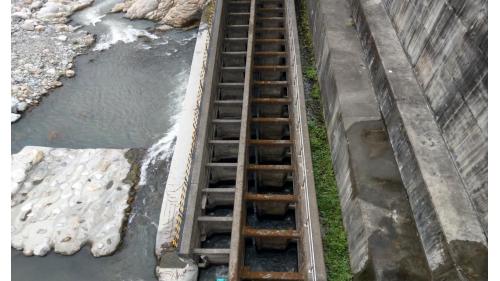 為了減少對環境的衝擊，台電在建設馬鞍電廠時，與東勢生態環境維護協會及國內相關學術研究機構合作，共同擬定「大甲溪生態保育復育整體計畫」，在馬鞍壩設置多階層低落差的連續池魚梯。
&nbsp;