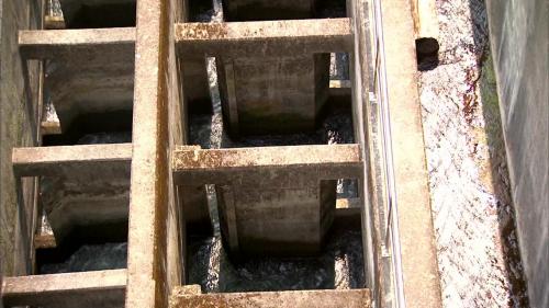 為了減少對環境的衝擊，台電在建設馬鞍電廠時，與東勢生態環境維護協會及國內相關學術研究機構合作，共同擬定「大甲溪生態保育復育整體計畫」，在馬鞍壩設置多階層低落差的連續池魚梯。