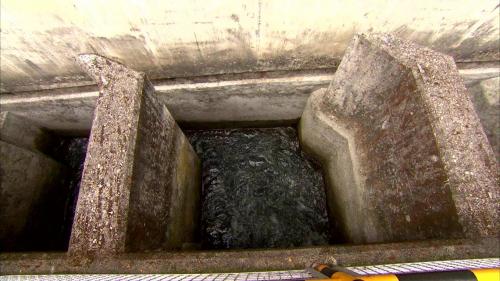 為了減少對環境的衝擊，台電在建設馬鞍電廠時，與東勢生態環境維護協會及國內相關學術研究機構合作，共同擬定「大甲溪生態保育復育整體計畫」，在馬鞍壩設置多階層低落差的連續池魚梯。
&nbsp;