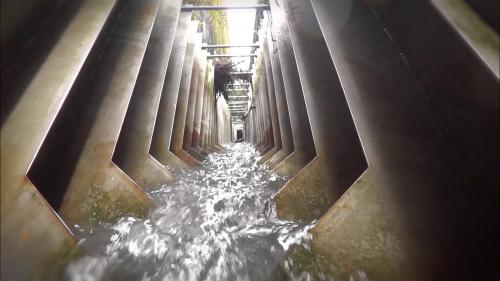 為了減少對環境的衝擊，台電在建設馬鞍電廠時，與東勢生態環境維護協會及國內相關學術研究機構合作，共同擬定「大甲溪生態保育復育整體計畫」，在馬鞍壩設置多階層低落差的連續池魚梯。
&nbsp;