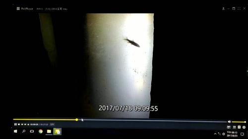 透過魚道觀視窗，觀察游泳性魚類與攀爬性魚類，以保護魚類生存，兼顧電源開發與自然生態。