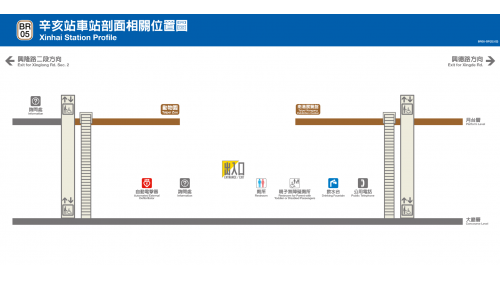 辛亥站編號為BR05，位於辛亥路西側，於1996年3月通車啟用。辛亥站體為高架三層之車站，設有一處出入口，一樓為大廳層，三樓為月台層，設有二座側式月台。
&nbsp;