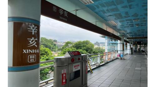 &nbsp;         辛亥站編號為BR05，位於辛亥路西側，於1996年3月通車啟用。辛亥站體為高架三層之車站，設有一處出入口，一樓為大廳層，三樓為月台層，設有二座側式月台。