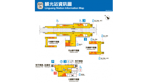 &nbsp;         麟光站編號為BR06，位於和平東路上，於1996年3月通車啟用，是台北捷運通車後，第一座設有2座出入口之車站，由一號出口可步行至富陽自然生態公園。站體為地上四層之高架車站，設有2座出入口，一樓為大廳層，三樓為月台層，四樓為天橋層，以轉換乘車方向，設有側式月台兩座。