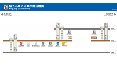 &nbsp;         麟光站編號為BR06，位於和平東路上，於1996年3月通車啟用，是台北捷運通車後，第一座設有2座出入口之車站，由一號出口可步行至富陽自然生態公園。站體為地上四層之高架車站，設有2座出入口，一樓為大廳層，三樓為月台層，四樓為天橋層，以轉換乘車方向，設有側式月台兩座。
