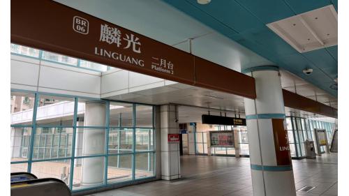 &nbsp;         麟光站位於和平東路上，是台北捷運通車後，第一座設有2座出入口之車站。由一號出口可步行至富陽自然生態公園。站體為地上四層之高架車站，設有2座出入口，一樓為大廳層，三樓為月台層，四樓為天橋層，以轉換乘車方向，設有側式月台兩座。