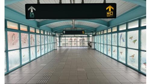 &nbsp;         麟光站位於和平東路上，是台北捷運通車後，第一座設有2座出入口之車站。由一號出口可步行至富陽自然生態公園。站體為地上四層之高架車站，設有2座出入口，一樓為大廳層，三樓為月台層，四樓為天橋層，以轉換乘車方向，設有側式月台兩座。