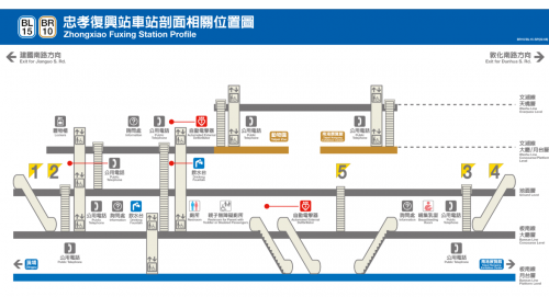 &nbsp;         忠孝復興站位於忠孝東路與復興南路口，忠孝復興站為一座高架與地下交會車站，可轉乘板南線，站體地上四層及地下四層，共設有5處出入口，地上三樓為文湖線大廳層及月台層，地上四樓為天橋層，以供切換搭乘方向。地下三樓為板南線大廳層，地下四樓為板南線月台層，文湖線設有兩座側式月台及全高式月台門，板南線設有一座島式月台及半高式月台門。
