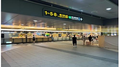 &nbsp;         南京復興站為松山新店線之轉乘站，位於復興北路及南京東路三段上南京復興站體為地上四層及地下三層，共設有8個出入口，地上三樓為文湖線之大廳及月台層，地上四樓為天橋層，可藉此轉換乘車方向;地下一層為轉乘通道層，地下二層為松山新店線之大廳層，地下三樓為松山新店線之月台層。
